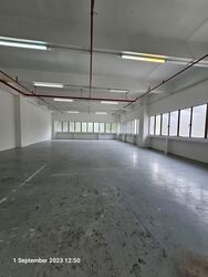 Perfect One (D13), Warehouse #618734841